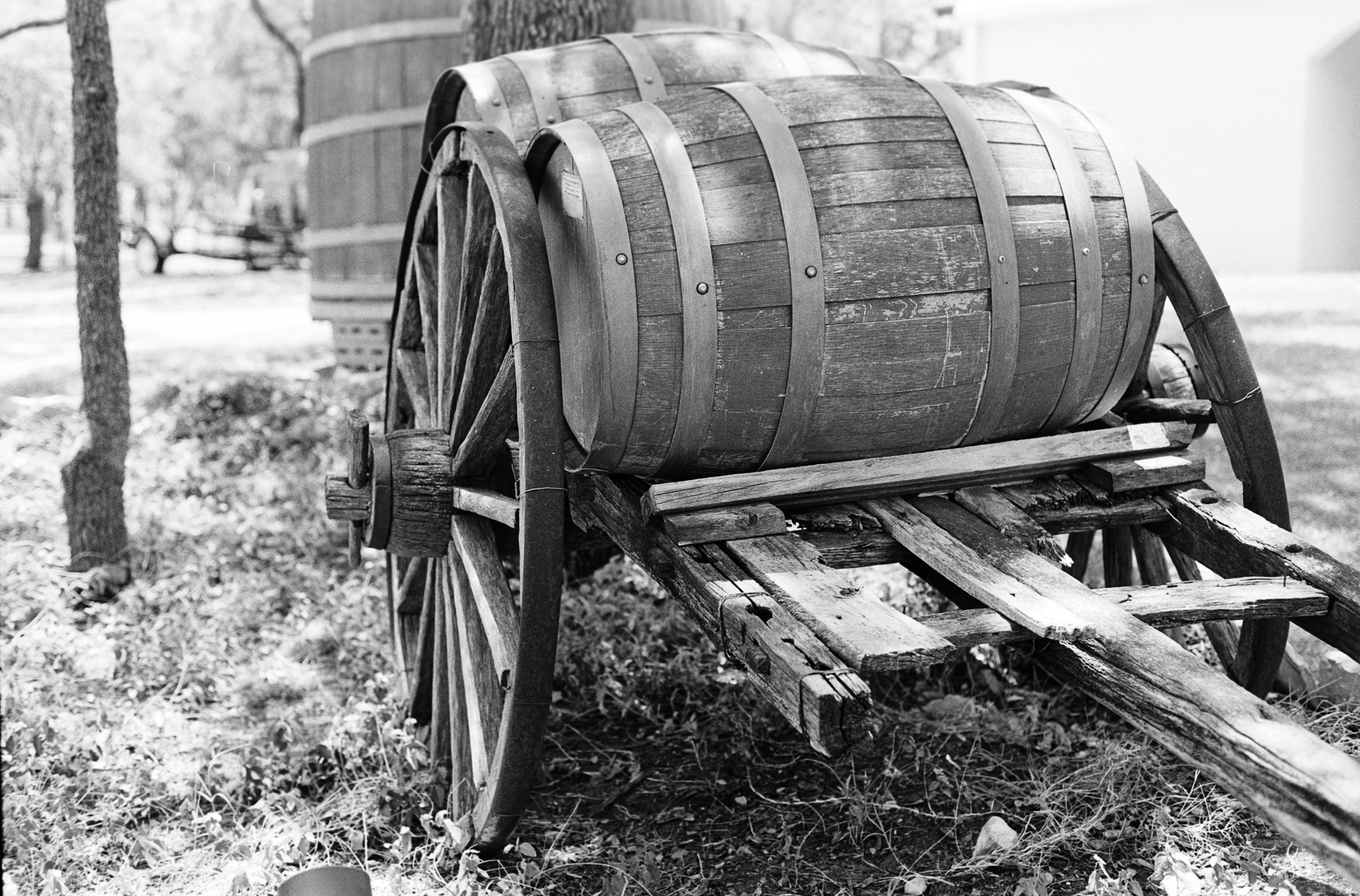 Experimenting around with Delta 100 on 35mm