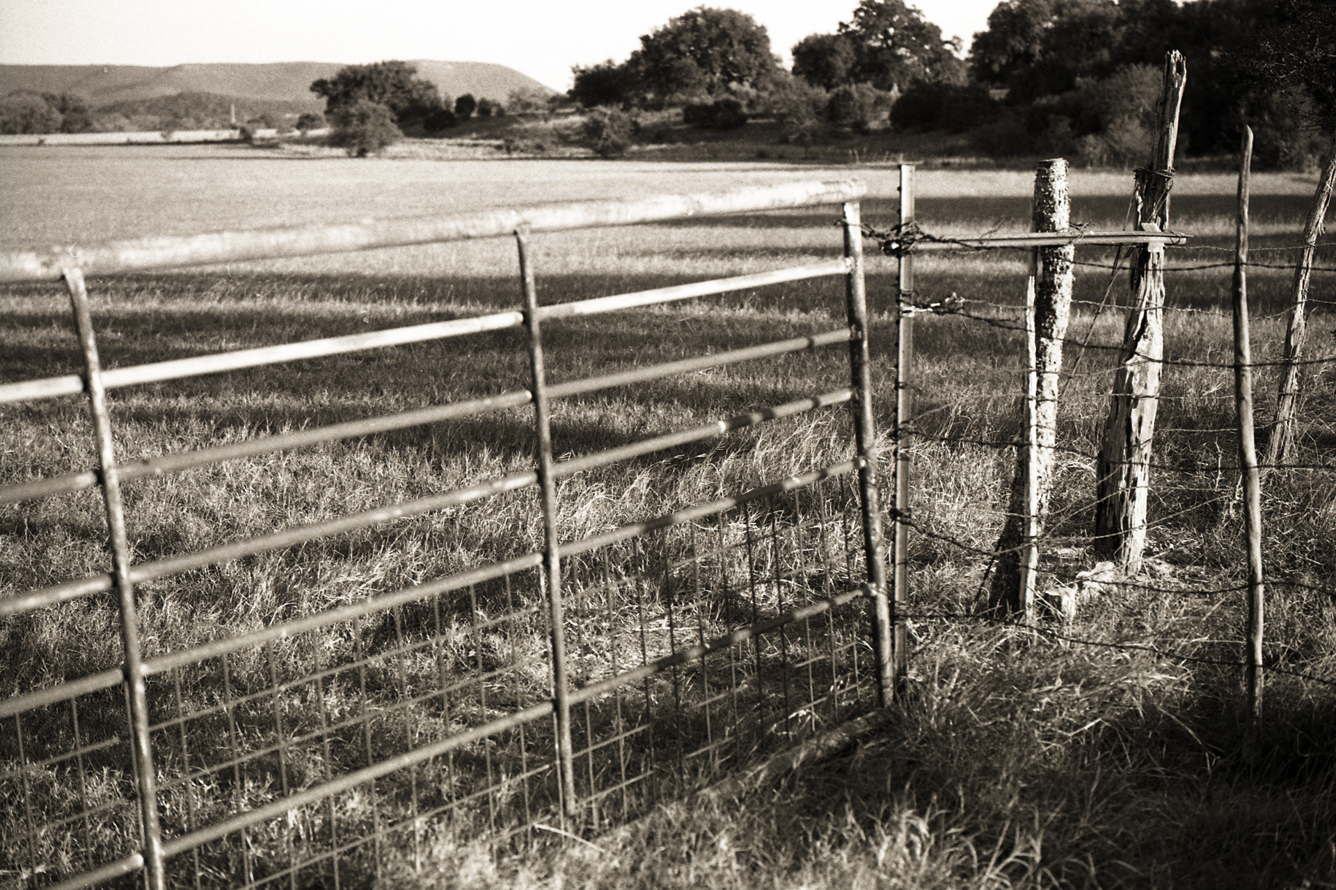 The Ranch in FP4+