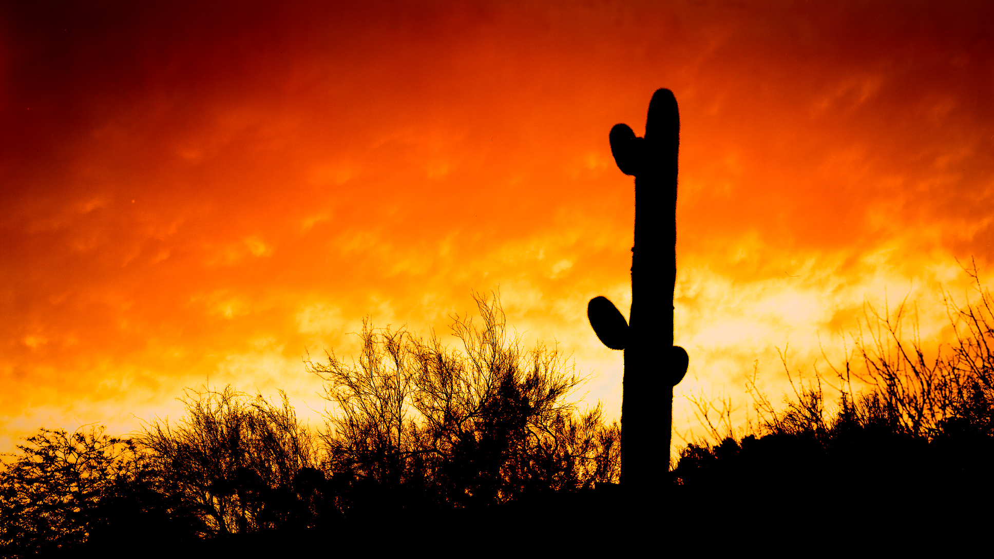 Large Format In Tucson